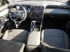 Lot #3023158169 2023 HYUNDAI SANTA CRUZ