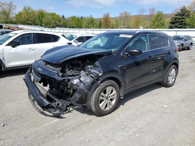 2019 Kia Sportage Lx VIN: KNDPMCAC6K7527323 Lot: 51888054