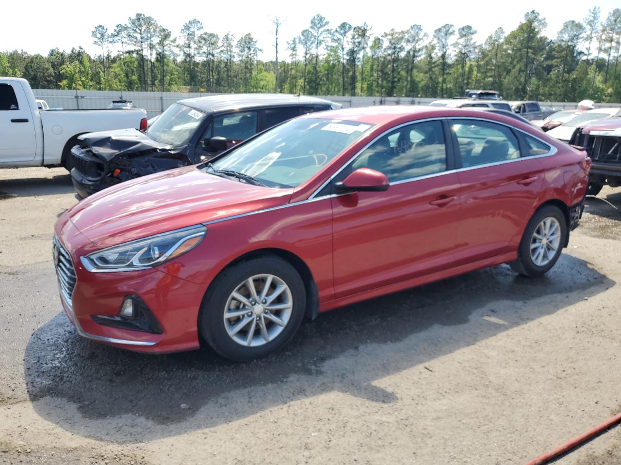 5NPE24AF1KH797259 2019 Hyundai Sonata Se