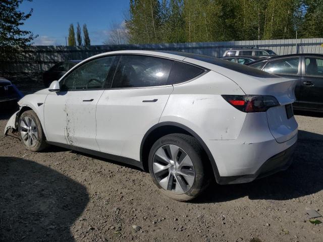 2023 Tesla Model Y VIN: 7SAYGAEE9PF743375 Lot: 51620534