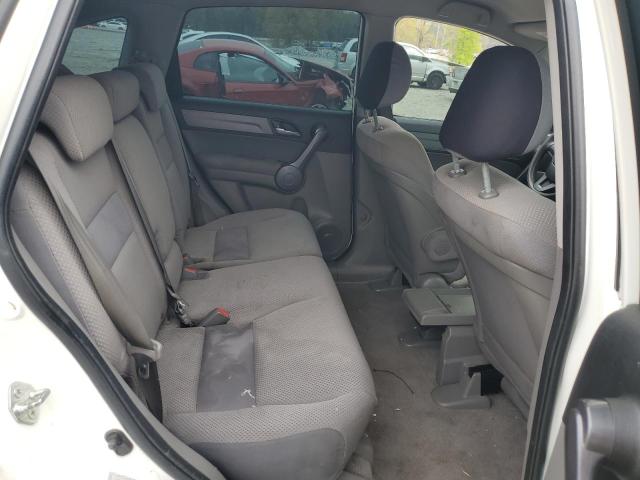 2009 Honda Cr-V Lx VIN: 5J6RE383X9L004099 Lot: 50106844