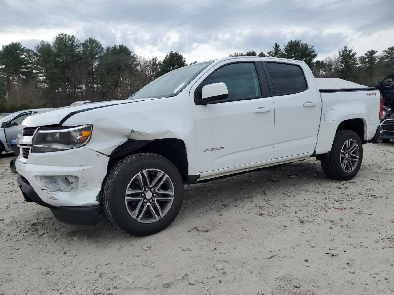 1GCGTBEN5K1129290 2019 Chevrolet Colorado