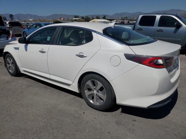 2016 Kia Optima Hybrid VIN: KNAGM4AD7G5096585 Lot: 50728024