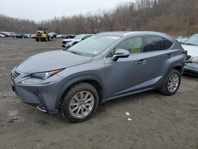 Vin: jtjdardz3m2263537, lot: 49047774, lexus nx 300 base 2021 img_1