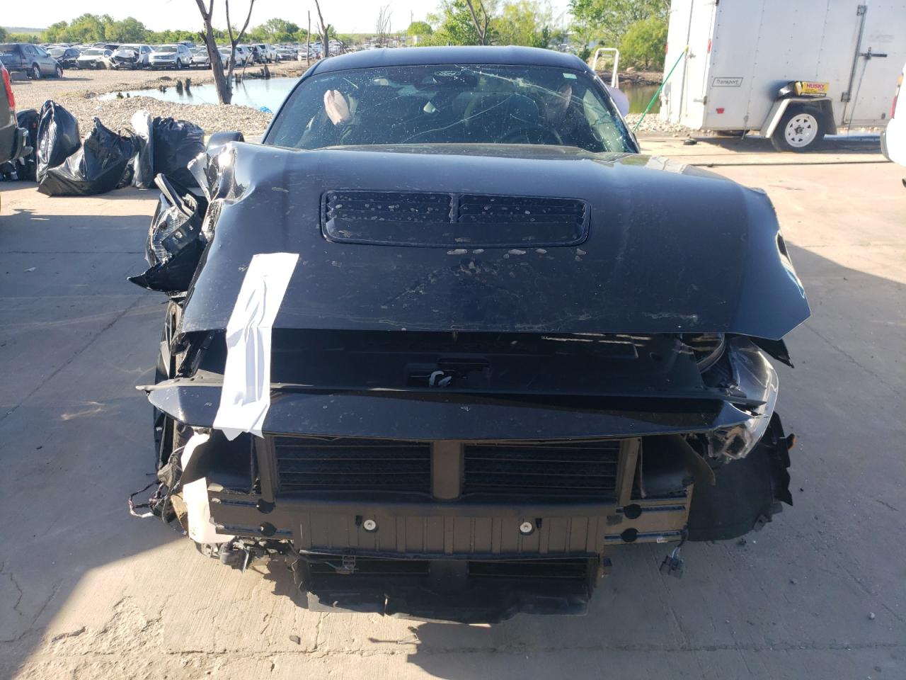 1FA6P8CF1R5404774 2024 Ford Mustang Gt