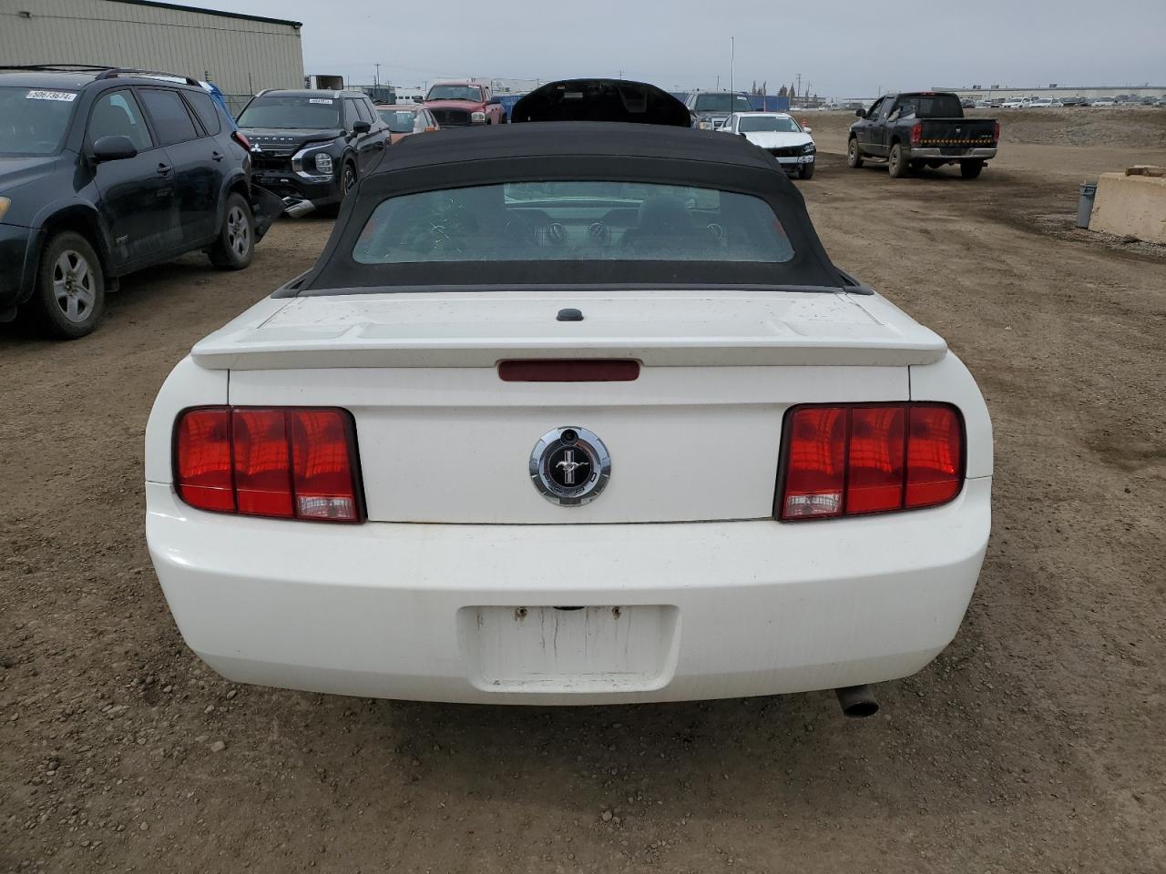 1ZVHT84N785146177 2008 Ford Mustang