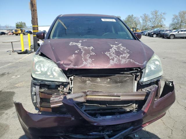 2007 Honda Odyssey Ex VIN: 5FNRL38407B033423 Lot: 50713104