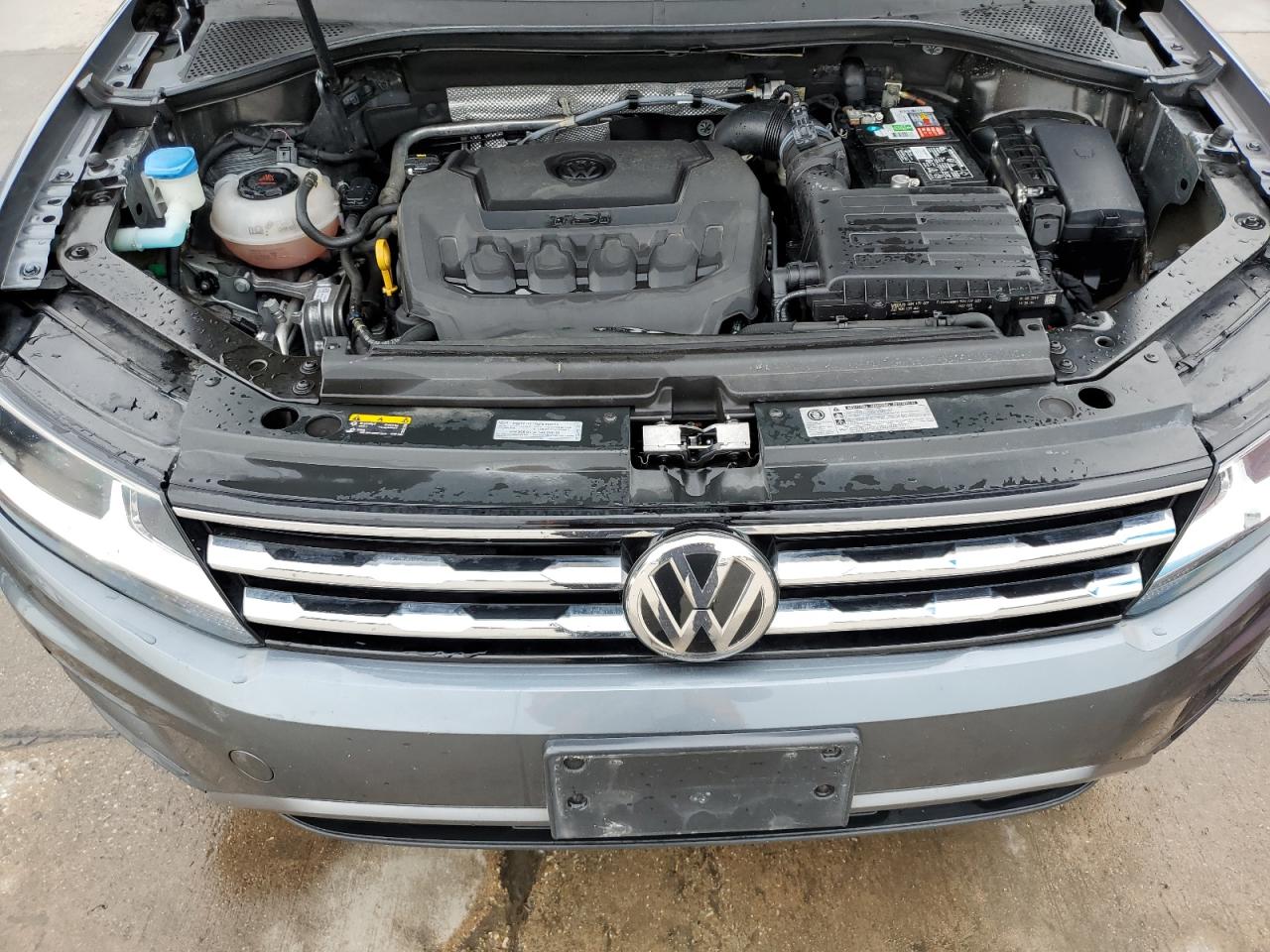 3VV1B7AX7LM019344 2020 Volkswagen Tiguan S