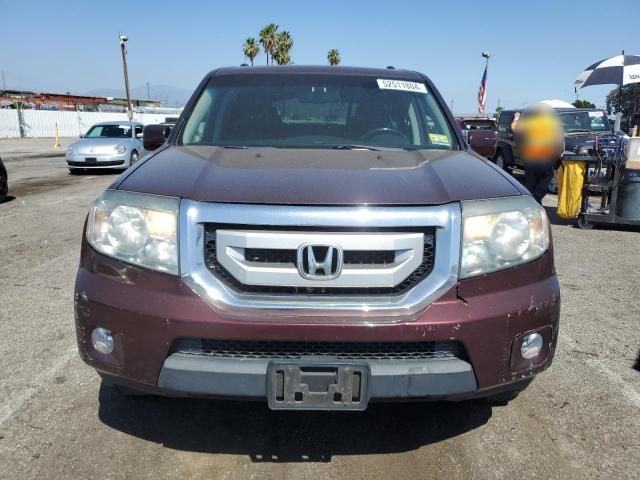 2009 Honda Pilot Exl VIN: 5FNYF485X9B021607 Lot: 52511804