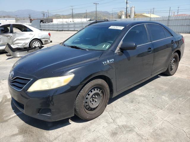 Lot #2535950785 2010 TOYOTA CAMRY BASE salvage car