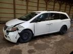 HONDA ODYSSEY EX photo