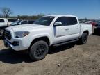 2021 TOYOTA TACOMA DOU - 3TMCZ5AN7MM450483
