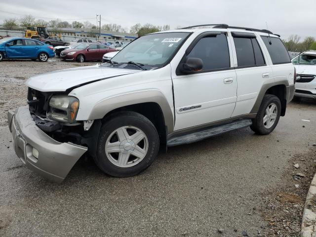 2002 Chevrolet Trailblazer VIN: 1GNDT13S222344746 Lot: 50027434