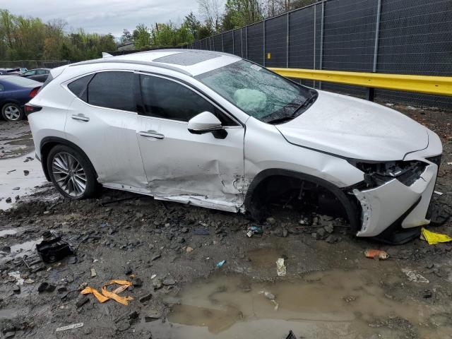 2024 LEXUS NX 350 LUX 2T2HGCEZ3RC035721