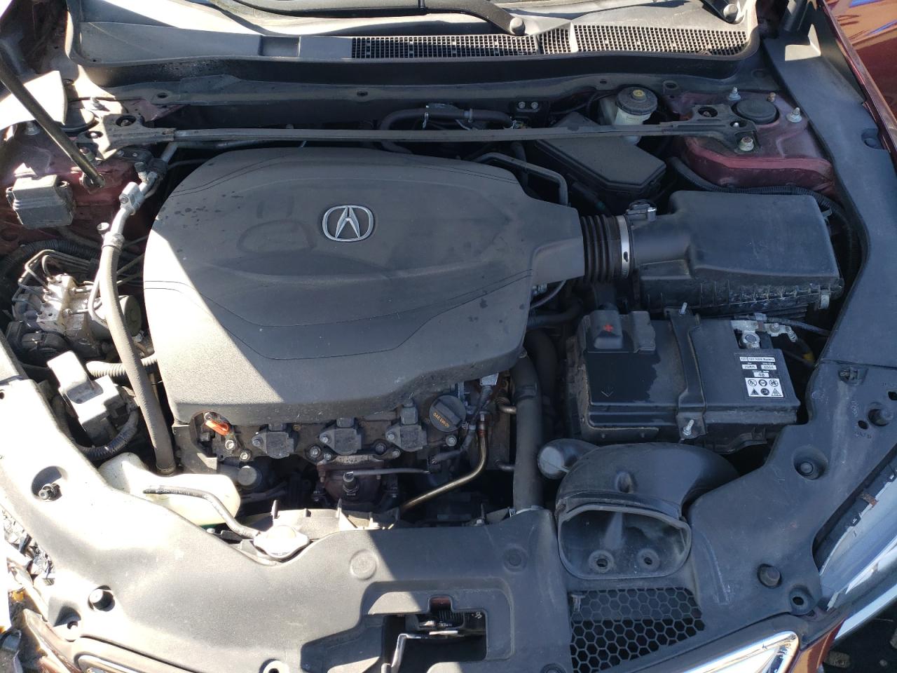 19UUB3F52FA010470 2015 Acura Tlx Tech