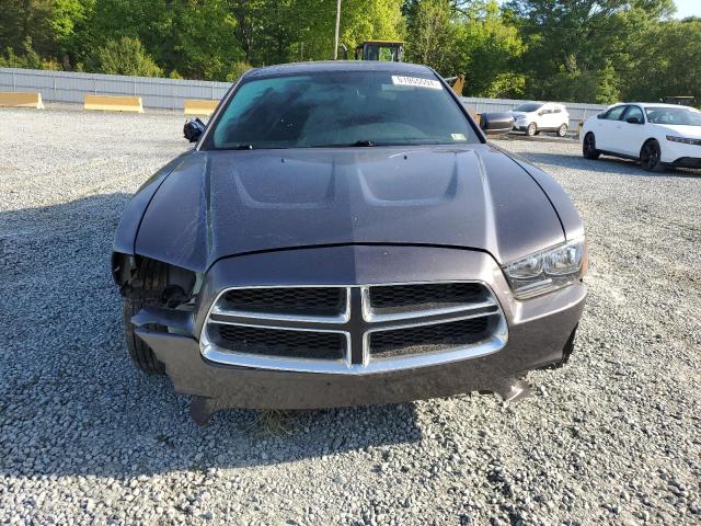 2013 Dodge Charger Se VIN: 2C3CDXBG9DH542210 Lot: 51955594