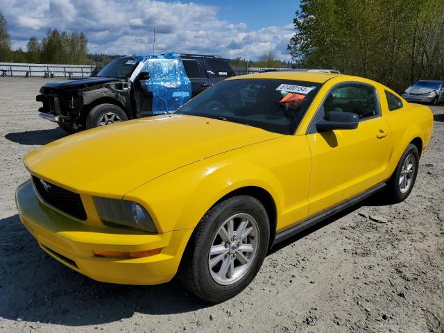 Lot #2477469462 2005 FORD MUSTANG salvage car