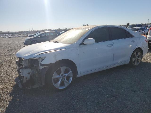 Lot #2438747499 2009 TOYOTA CAMRY BASE salvage car