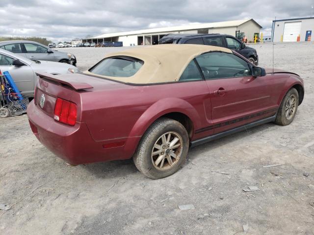 Lot #2461577341 2005 FORD MUSTANG salvage car