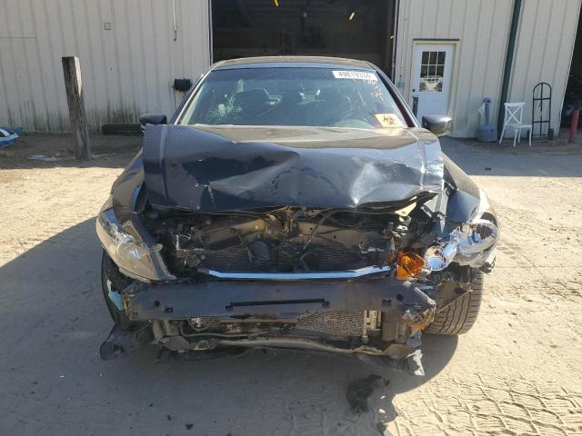 2009 Honda Accord Exl VIN: 1HGCP26879A101210 Lot: 49819334