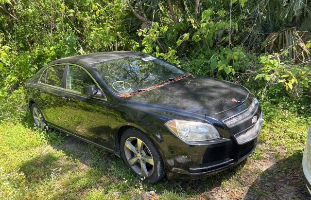 Lot #2475583946 2011 CHEVROLET MALIBU 1LT salvage car