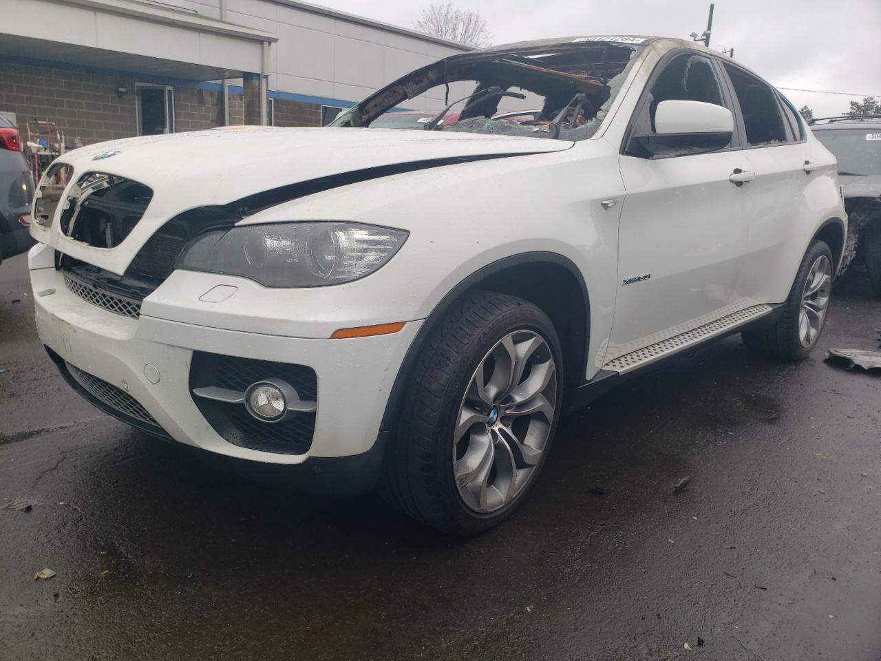 5UXFG8C5XBLZ96435 2011 BMW X6 xDrive50I