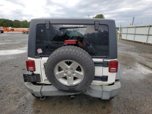 2009 Jeep Wrangler Unlimited Rubicon VIN: 1J8GA69189L749823 Lot: 49926364