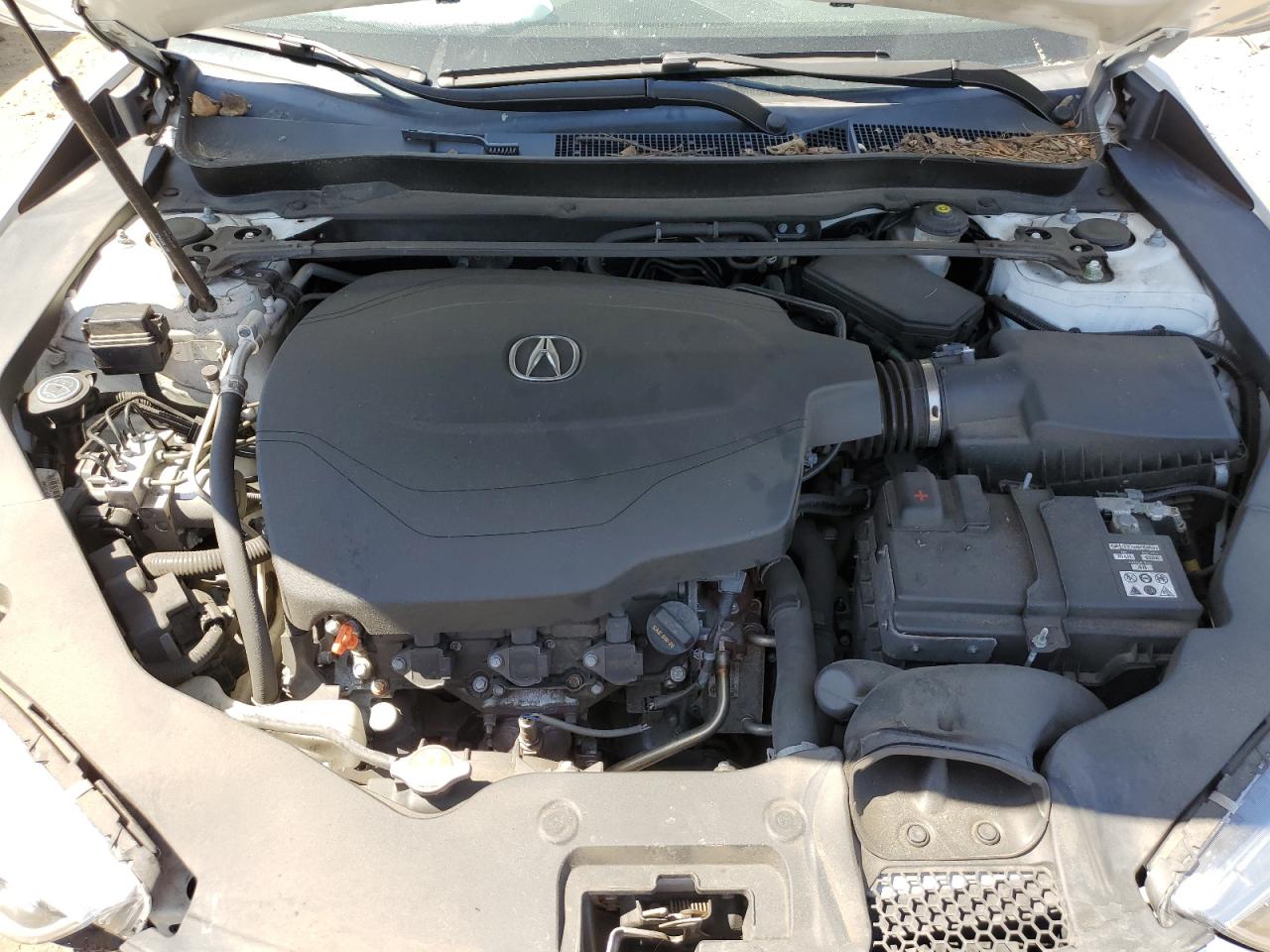 19UUB3F31JA004392 2018 Acura Tlx