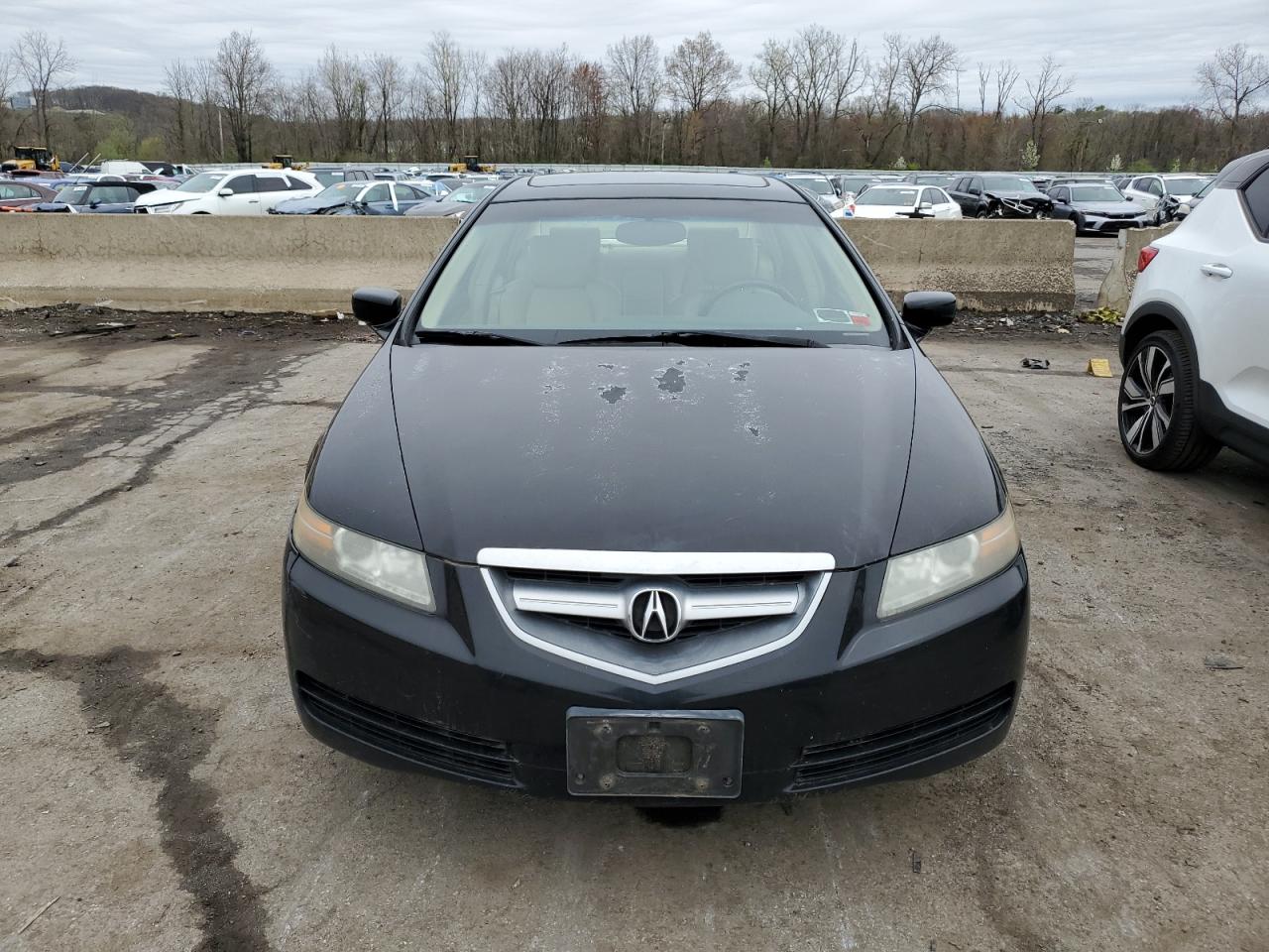 19UUA66206A076008 2006 Acura 3.2Tl