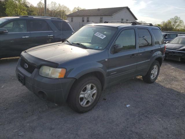 Lot #2489242579 2001 FORD ESCAPE XLT salvage car