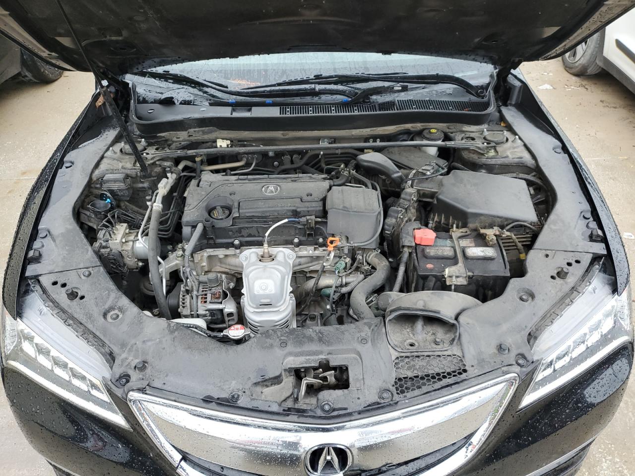 19UUB1F34HA002991 2017 Acura Tlx