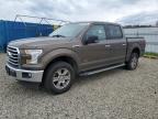 2017 FORD F150 SUPER - 1FTEW1EG6HKC84203