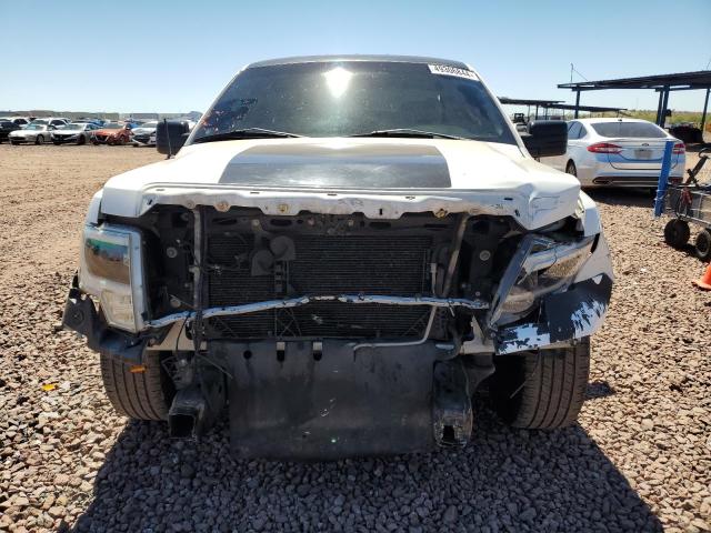 2013 Ford F150 VIN: 1FTMF1CM2DKF37273 Lot: 49306844