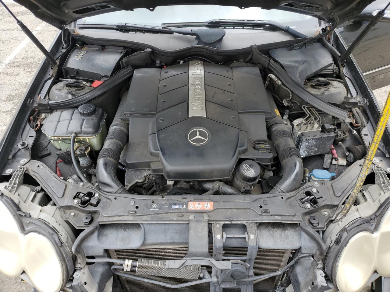 WDBTJ75H26F183262 2006 Mercedes-Benz Clk 500