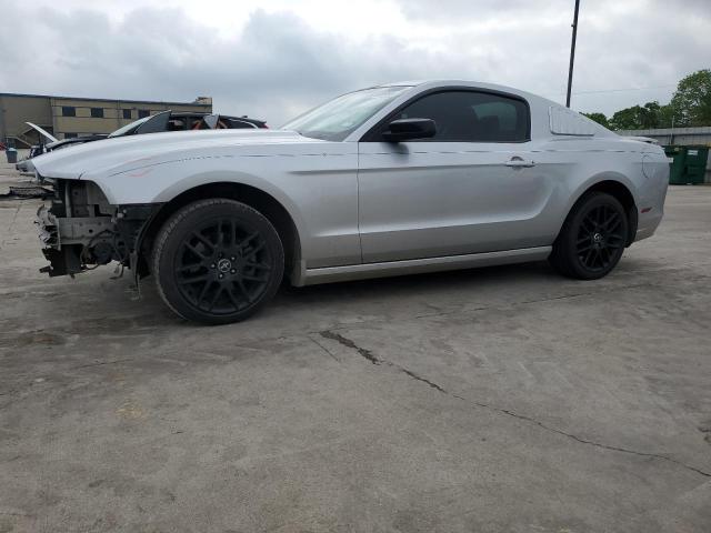 2014 Ford Mustang VIN: 1ZVBP8AM3E5273722 Lot: 51168964