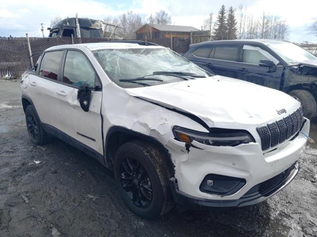  JEEP CHEROKEE 2023 Белый