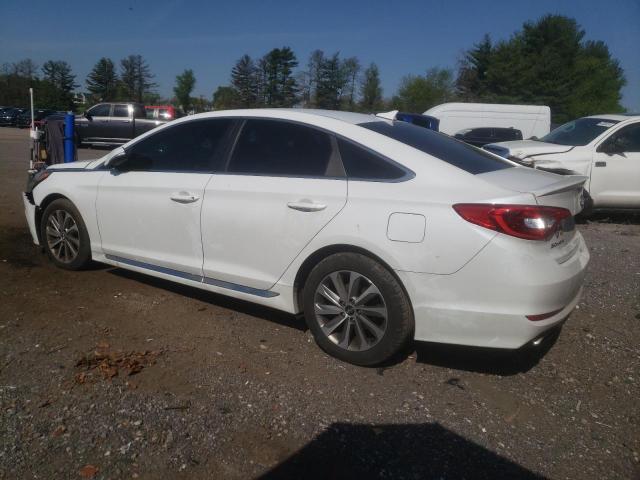 2016 HYUNDAI SONATA SPO - 5NPE34AF0GH316454