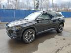 2023 HYUNDAI TUCSON LUX - KM8JCCA13PU130292