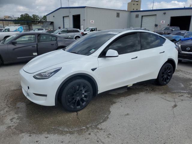 2023 Tesla Model Y VIN: 7SAYGDEE2PA145238 Lot: 50730414