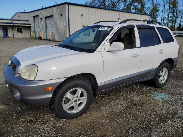 2004 Hyundai Santa Fe Gls VIN: KM8SC73D14U736222 Lot: 51254104