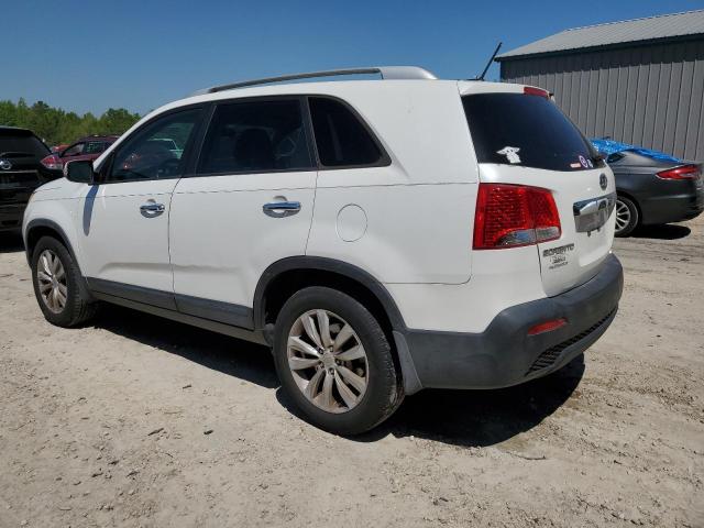 2011 Kia Sorento Base VIN: 5XYKT4A29BG066485 Lot: 49852484