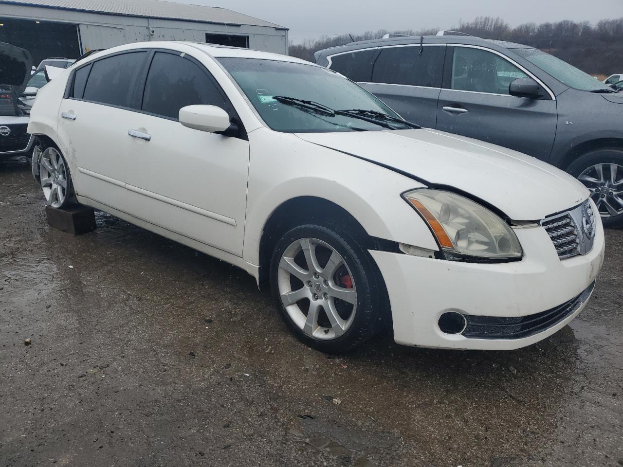 1N4BA41E64C914349 2004 Nissan Maxima Se