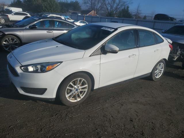 Lot #2443417727 2016 FORD FOCUS SE salvage car