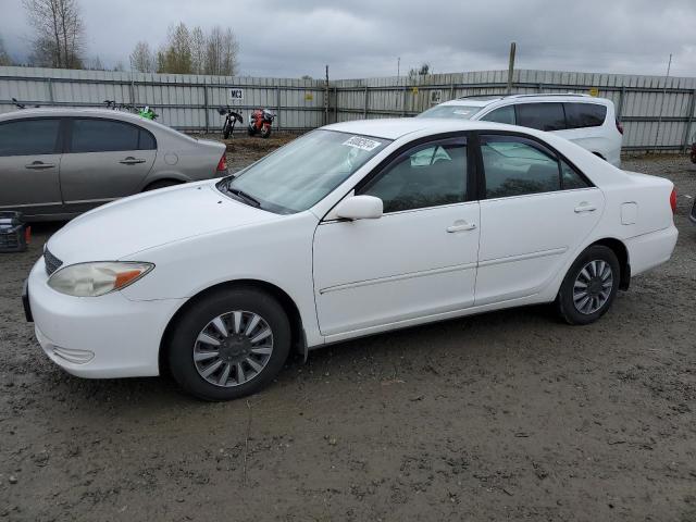 Lot #2445693337 2004 TOYOTA CAMRY LE salvage car