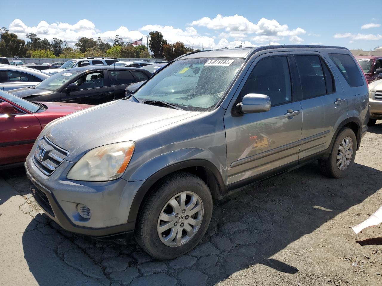 JHLRD78896C042191 2006 Honda Cr-V Ex