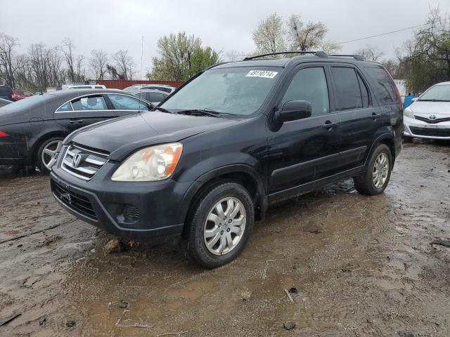 2005 Honda Cr-V Ex VIN: SHSRD78895U340215 Lot: 49110714