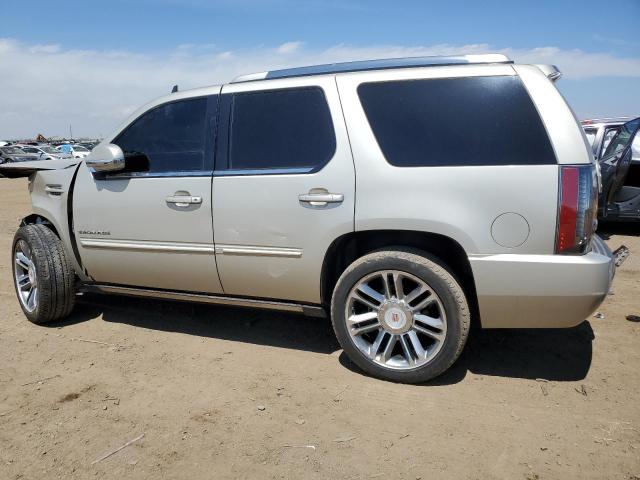 2013 Cadillac Escalade Premium VIN: 1GYS4CEF7DR145883 Lot: 52490084