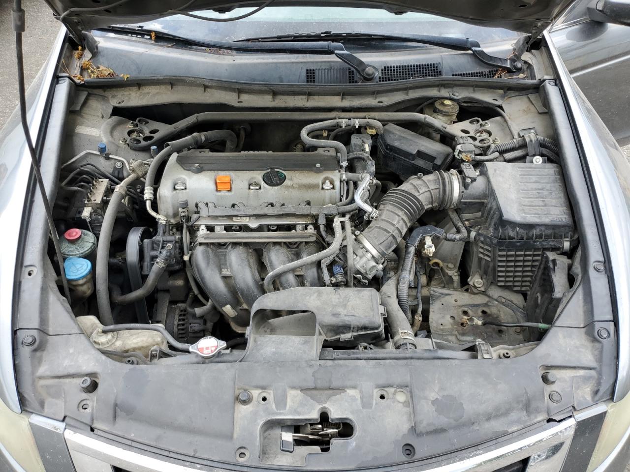 1HGCP2F88AA096636 2010 Honda Accord Exl