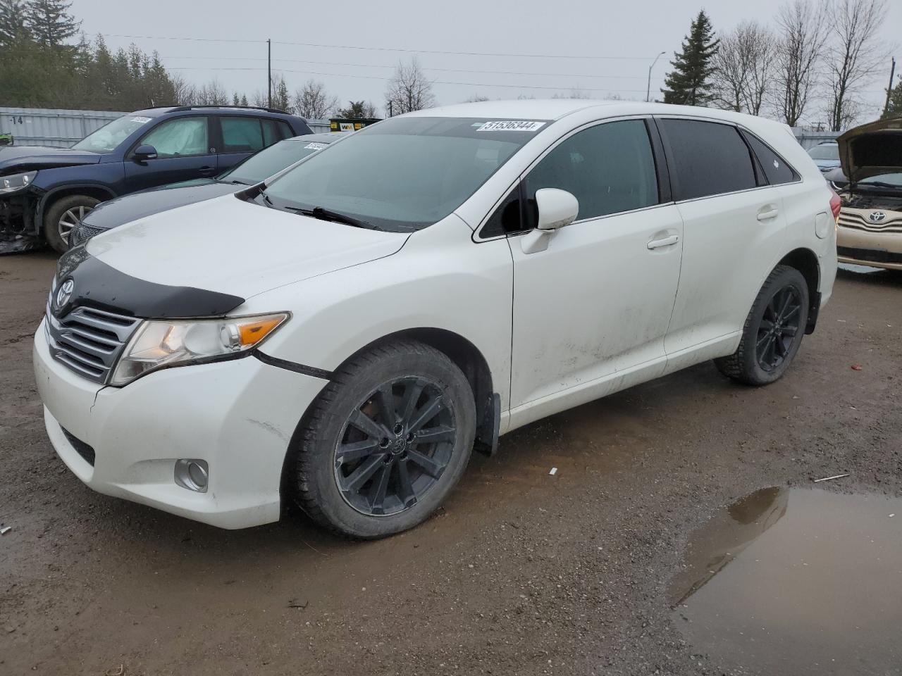 4T3BA3BB3BU020148 2011 Toyota Venza