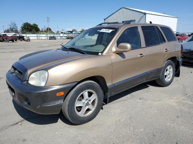2003 Hyundai Santa Fe Gls VIN: KM8SC73D93U372890 Lot: 51215894